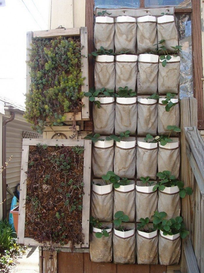 Hanging Shoe Storage Vertical Planter - DIY projects for everyone!