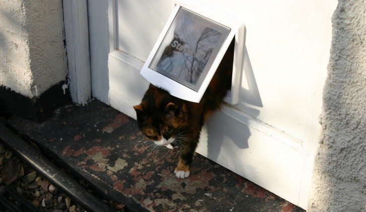 “In You Come” — How to Install a Cat Flap – DIY projects for everyone!