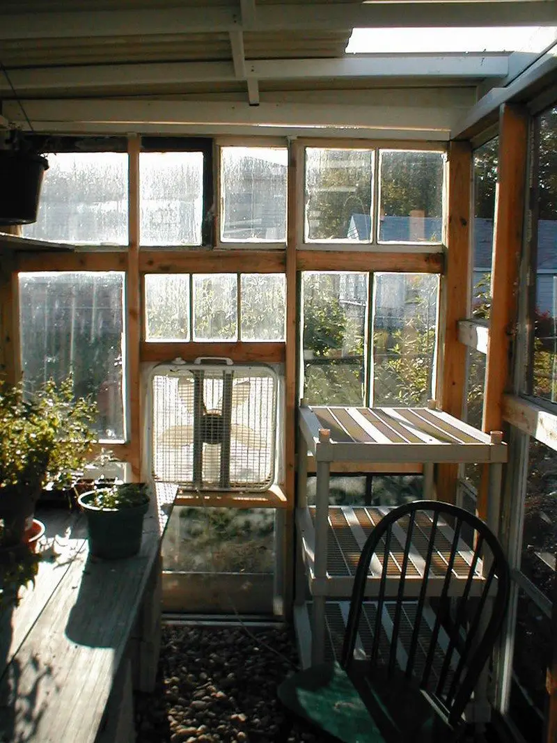 greenhouse from old windows – diy projects for everyone!