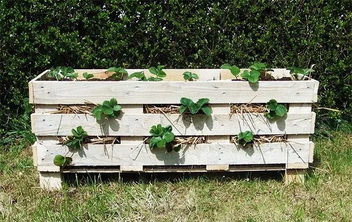 DIY Strawberry Pallet Planter