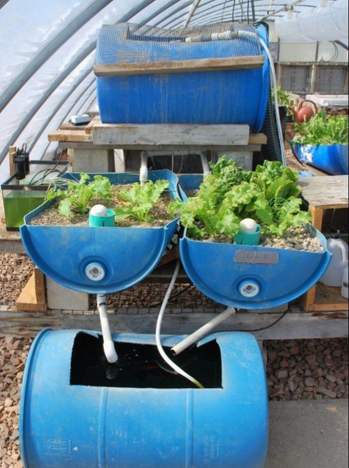 Smart PVC Aquaponic System in 8 Easy Steps