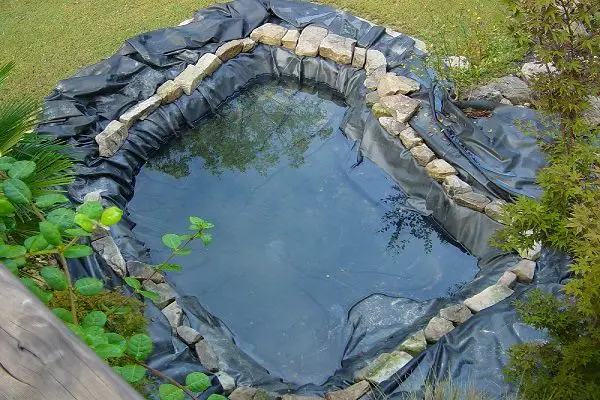 This style of pond liner is what I planned on having...