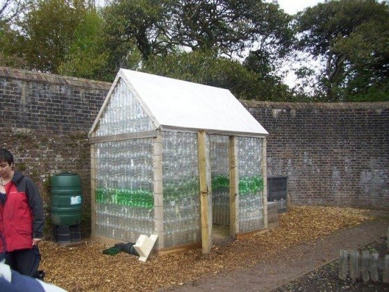 Flexible Plastic Bottle Greenhouse: Cheap 8-Step Solution