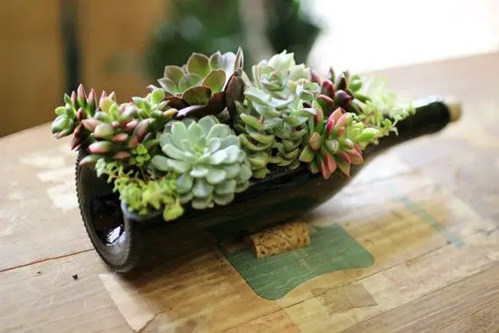 Succulent Planter Made from wine bottle 