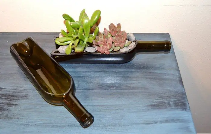 Succulent Wine BottlePlanter