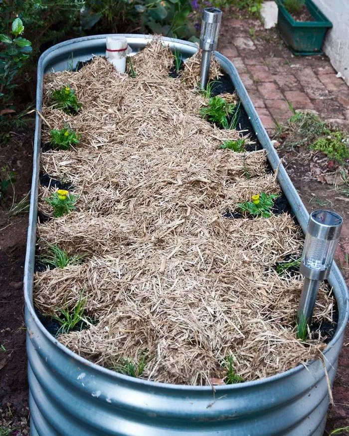 Wicking Beds