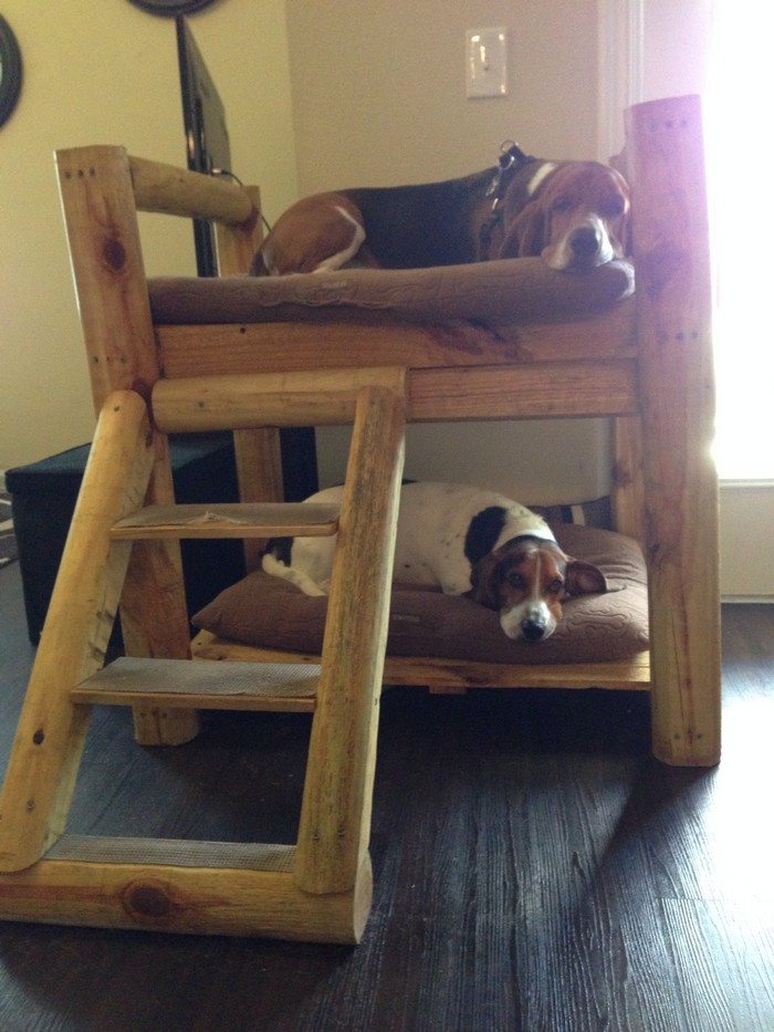 DIY Dog Bunk Bed