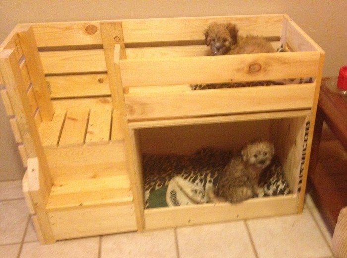 DIY Dog Bunk Bed