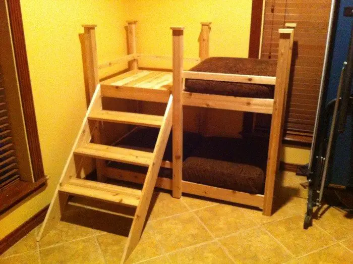 How To Build A Bunk Bed For Your Pets, Diy Dog Bunk Beds