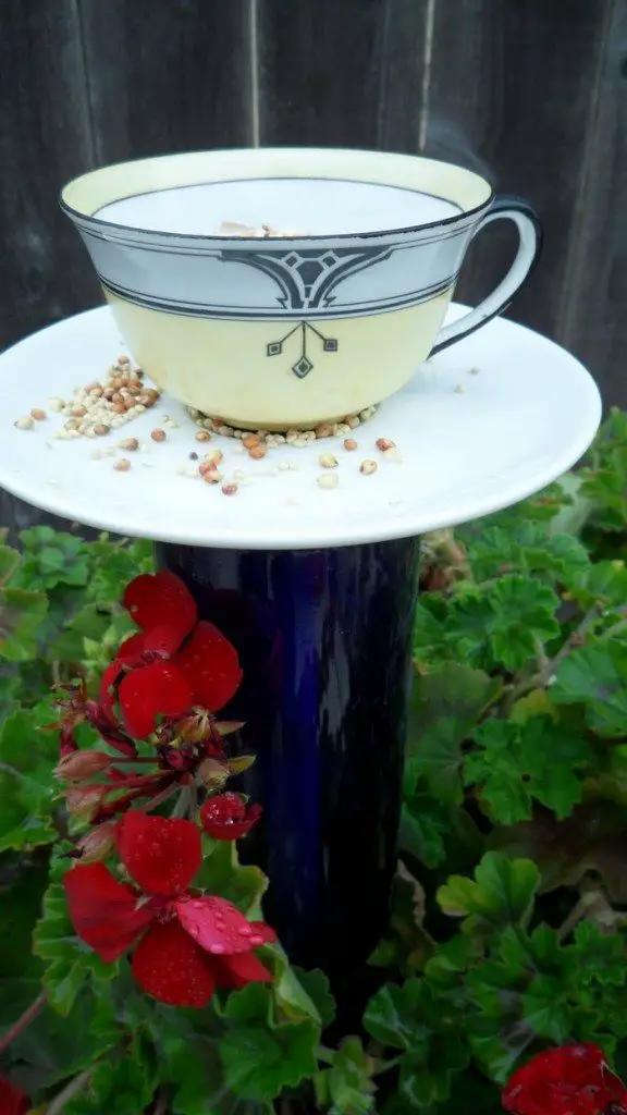 DIY Teacup Bird Feeder