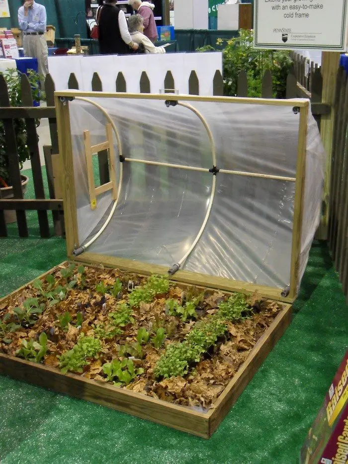 Fold-Down Greenhouse