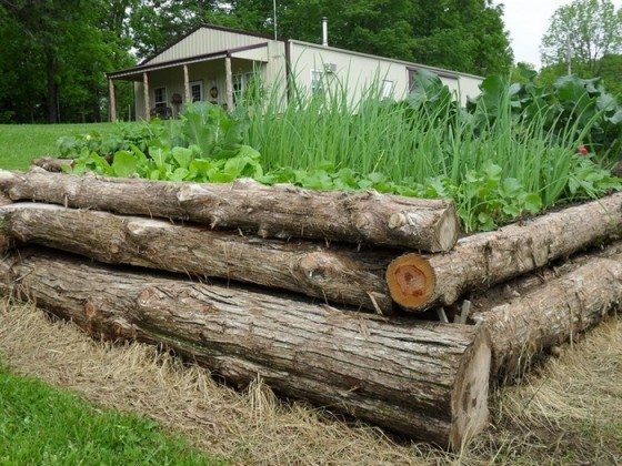 Build a Raised Garden Bed From Logs | DIY projects for everyone!