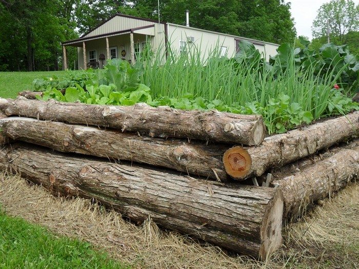 Log Raised Beds 08