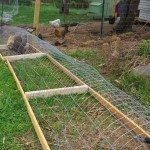 movable chicken tunnel