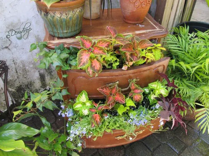 Turn Old Drawers Into Porch Planters, How To Turn A Dresser Drawer Into Garden