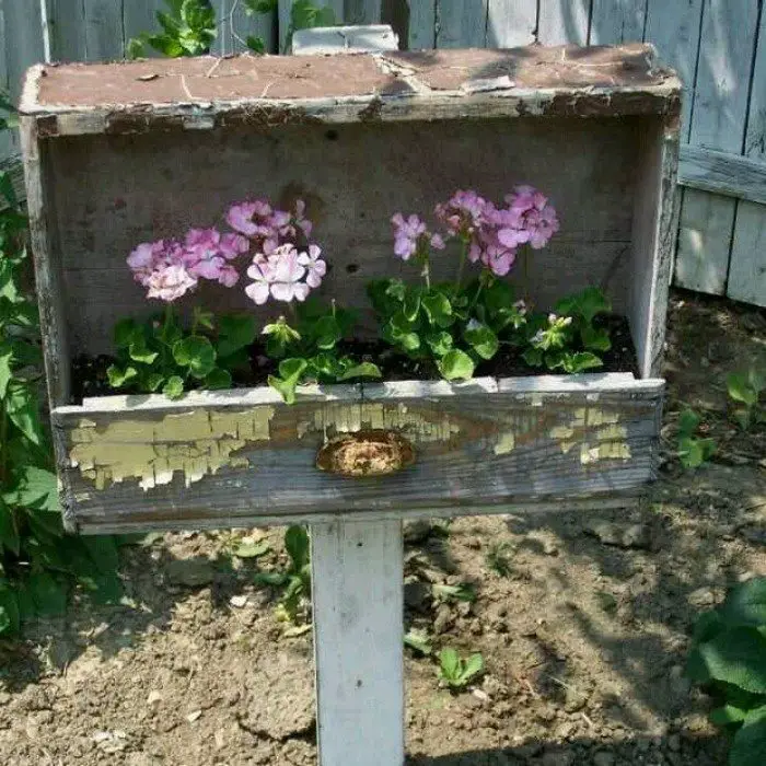 Old drawer turned into planter