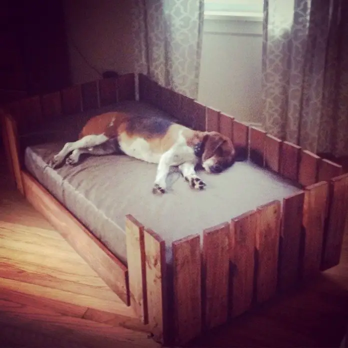 Make a Pallet Dog Bed - DIY projects for everyone!