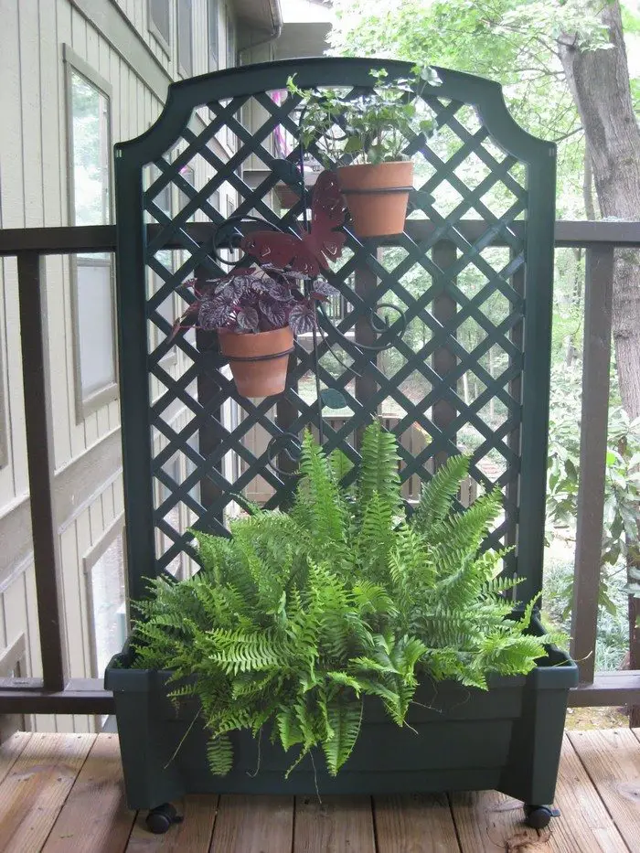 Planter with Privacy Screen