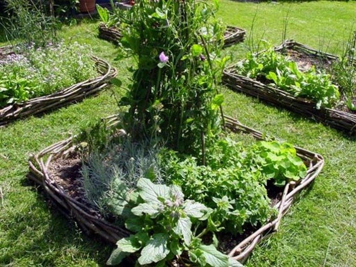 DIY Wattle Raised Garden Bed: 5 Easy Steps – DIY projects for everyone!