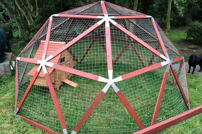 How to build a geodesic chicken tractor | DIY projects for everyone!