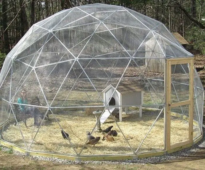 How to build a geodesic chicken tractor | DIY projects for ...