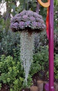 Hanging Basket Planter Album Images