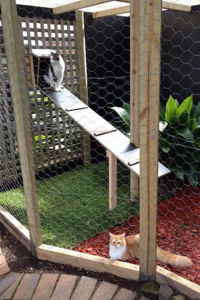 Outdoor Cat Run Enclosure
