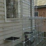 How to build an outdoor cat run | DIY projects for everyone!