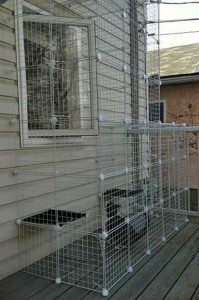 Outdoor Cat Run Enclosure