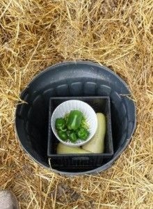 Convenient Trash Can Root Cellar: Practical 10-Step Project