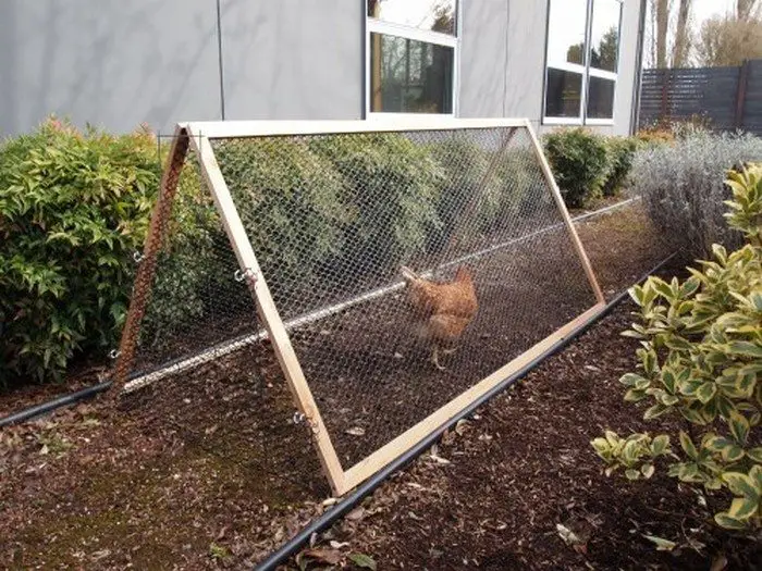 DIY Collapsible Chicken Run DIY projects for everyone!
