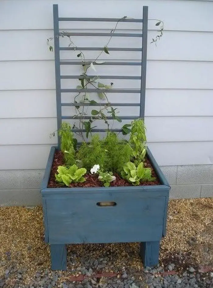 Garden Grow Box and Trellis Combo