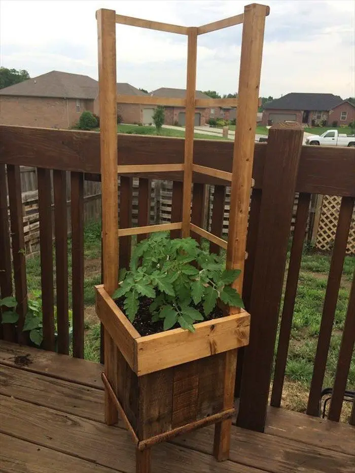 Garden Grow Box and Trellis Combo