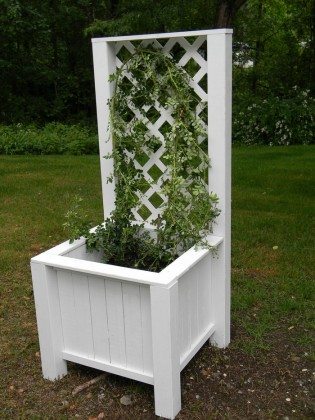 Build a garden grow box and trellis combo – DIY projects for everyone!