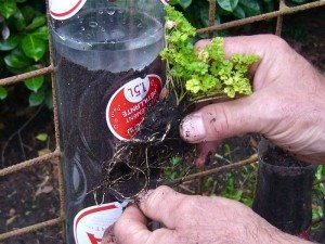 Recycled Soda Bottles Vertical Garden