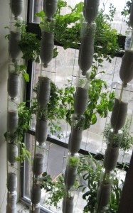 Recycled Soda Bottles Vertical Garden