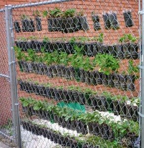 Recycled Soda Bottles Vertical Garden