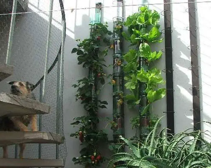 Recycled Soda Bottles Vertical Garden