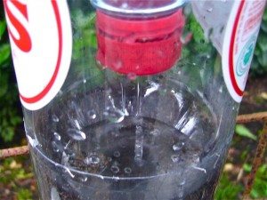 Recycled Soda Bottles Vertical Garden