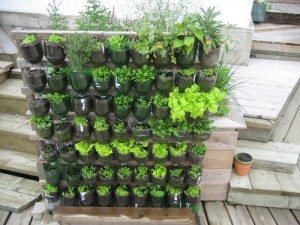 Recycled Soda Bottles Vertical Garden