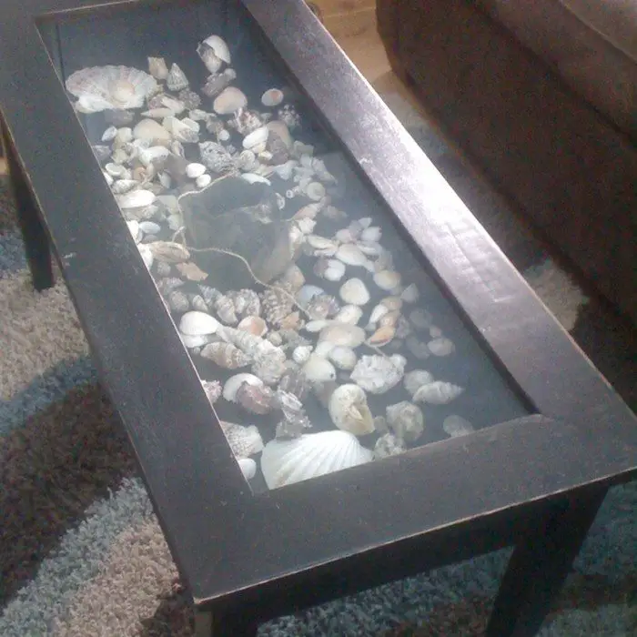 Seashell Coffee Table