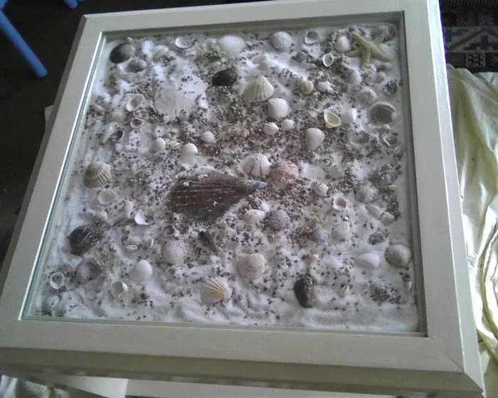 Seashell Coffee Table