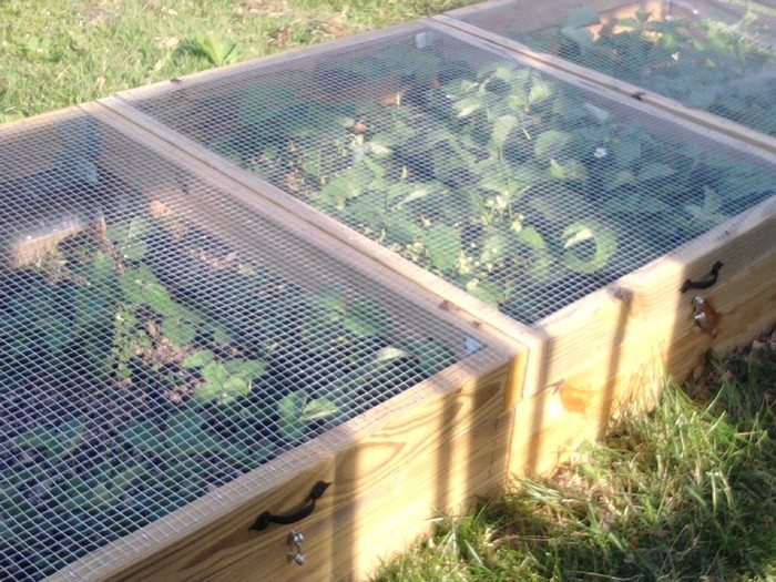 Hanging Basket with Detachable Hooks - Hens Mesh Design