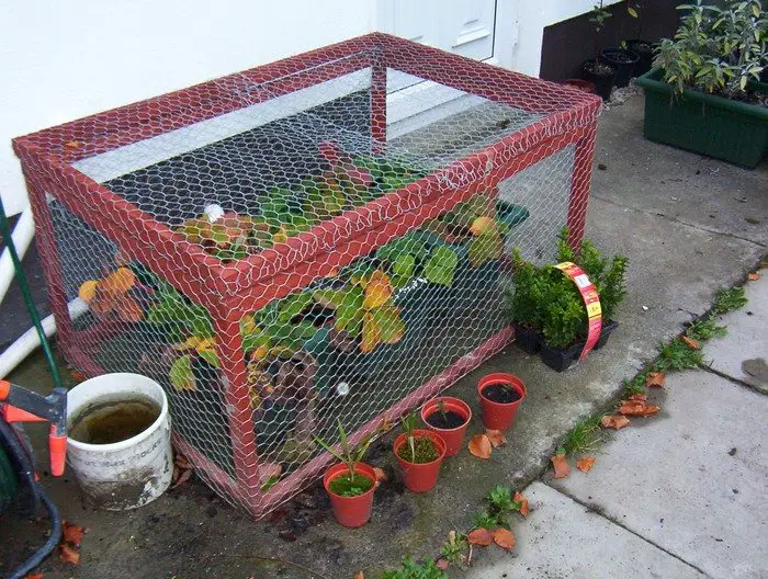 Strawberry Cage