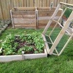 How to build a strawberry cage – DIY projects for everyone!