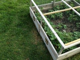 Convenient DIY Strawberry Cage: 9-Step Straightforward Build – DIY ...