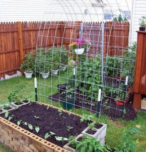 Vertical Gardening 101: Trellis and Raised Garden Box Combo's Amazing ...