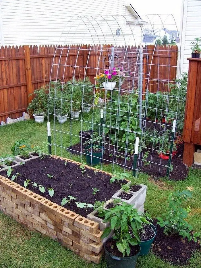 Trellis and Raised Garden Bed Combo