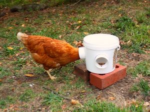 Mess-Free Chicken Feeder Finished Product