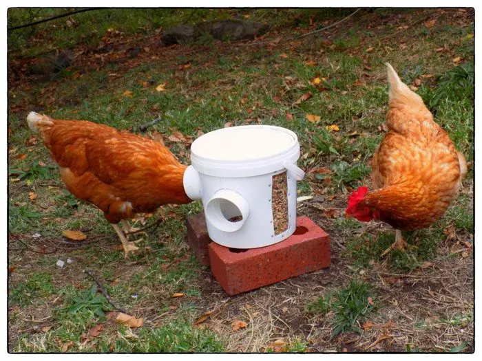 Mess-Free Chicken Feeder Finished Product